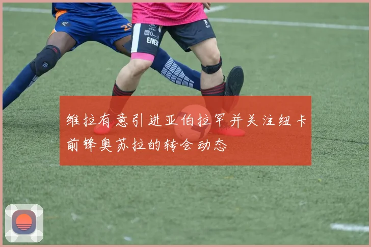 维拉有意引进亚伯拉罕并关注纽卡前锋奥苏拉的转会动态